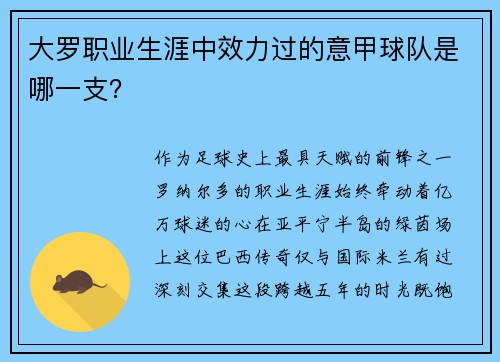 大罗职业生涯中效力过的意甲球队是哪一支？